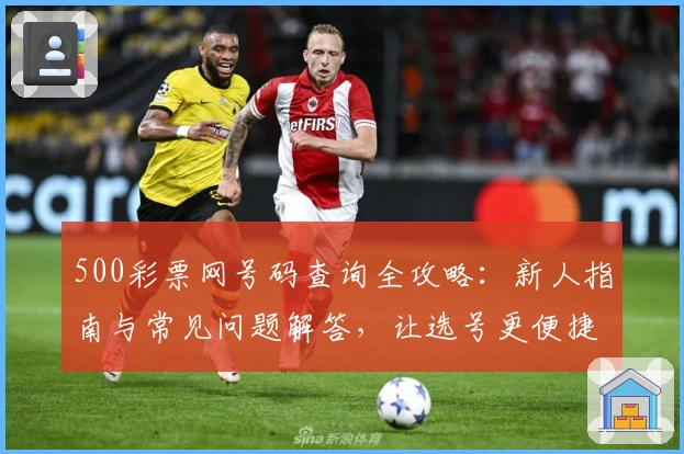 500彩票网号码查询全攻略：新人指南与常见问题解答，让选号更便捷