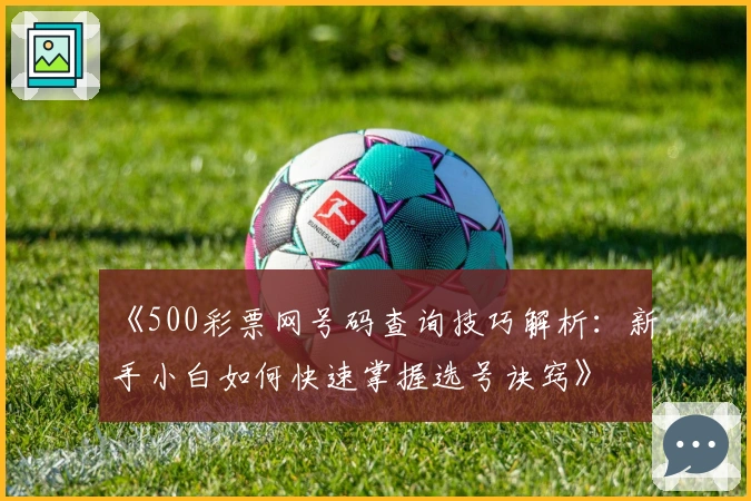 《500彩票网号码查询技巧解析：新手小白如何快速掌握选号诀窍》