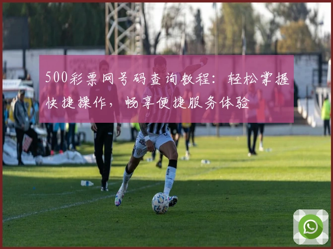 500彩票网号码查询教程：轻松掌握快捷操作，畅享便捷服务体验
