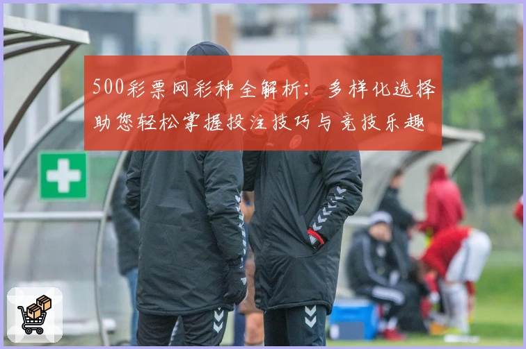 500彩票网彩种全解析：多样化选择助您轻松掌握投注技巧与竞技乐趣