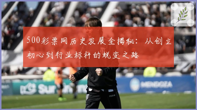 500彩票网历史发展全揭秘：从创立初心到行业标杆的蜕变之路